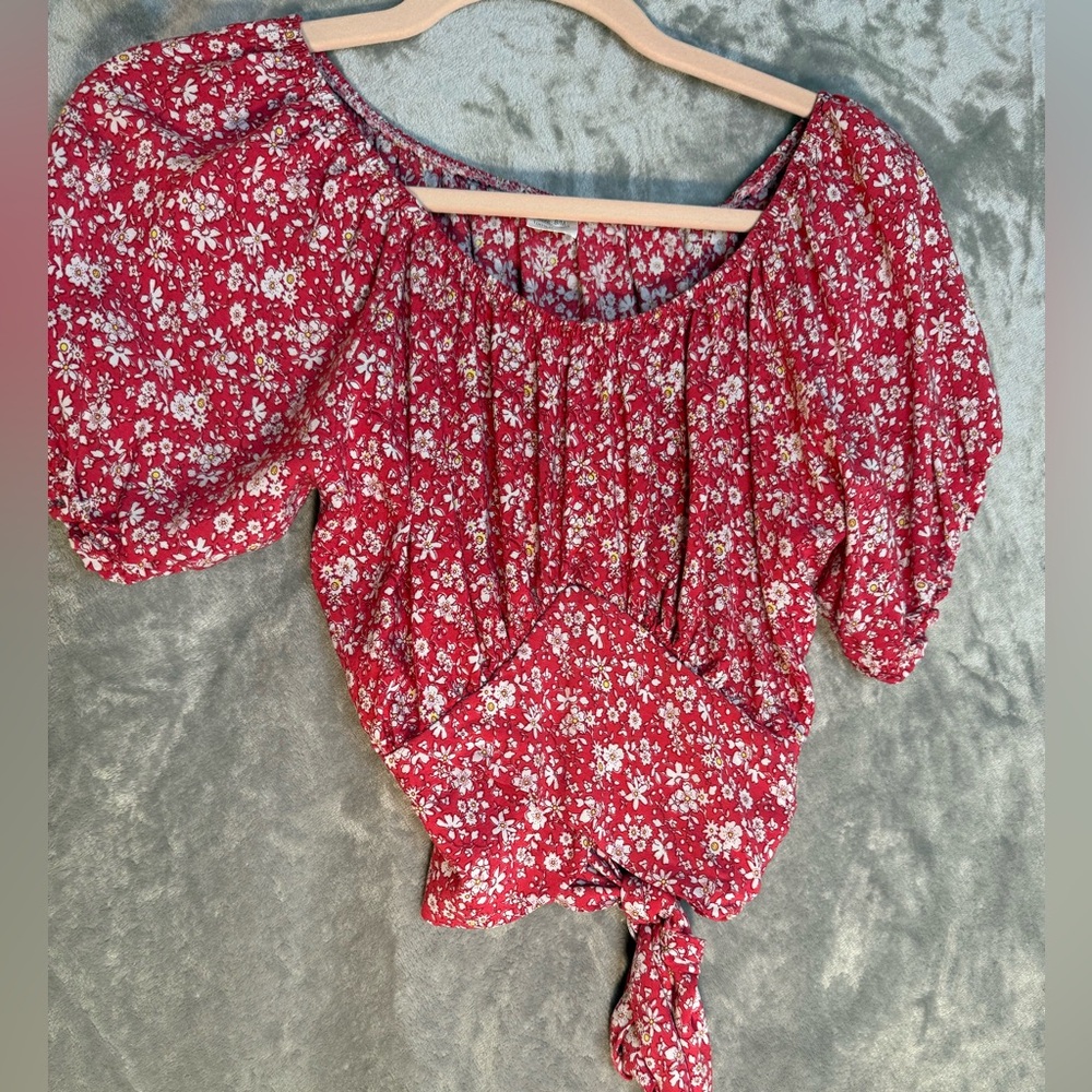 Red Floral Tie-Front Crop Top with Puff Sleeves Peasant Festival Boho